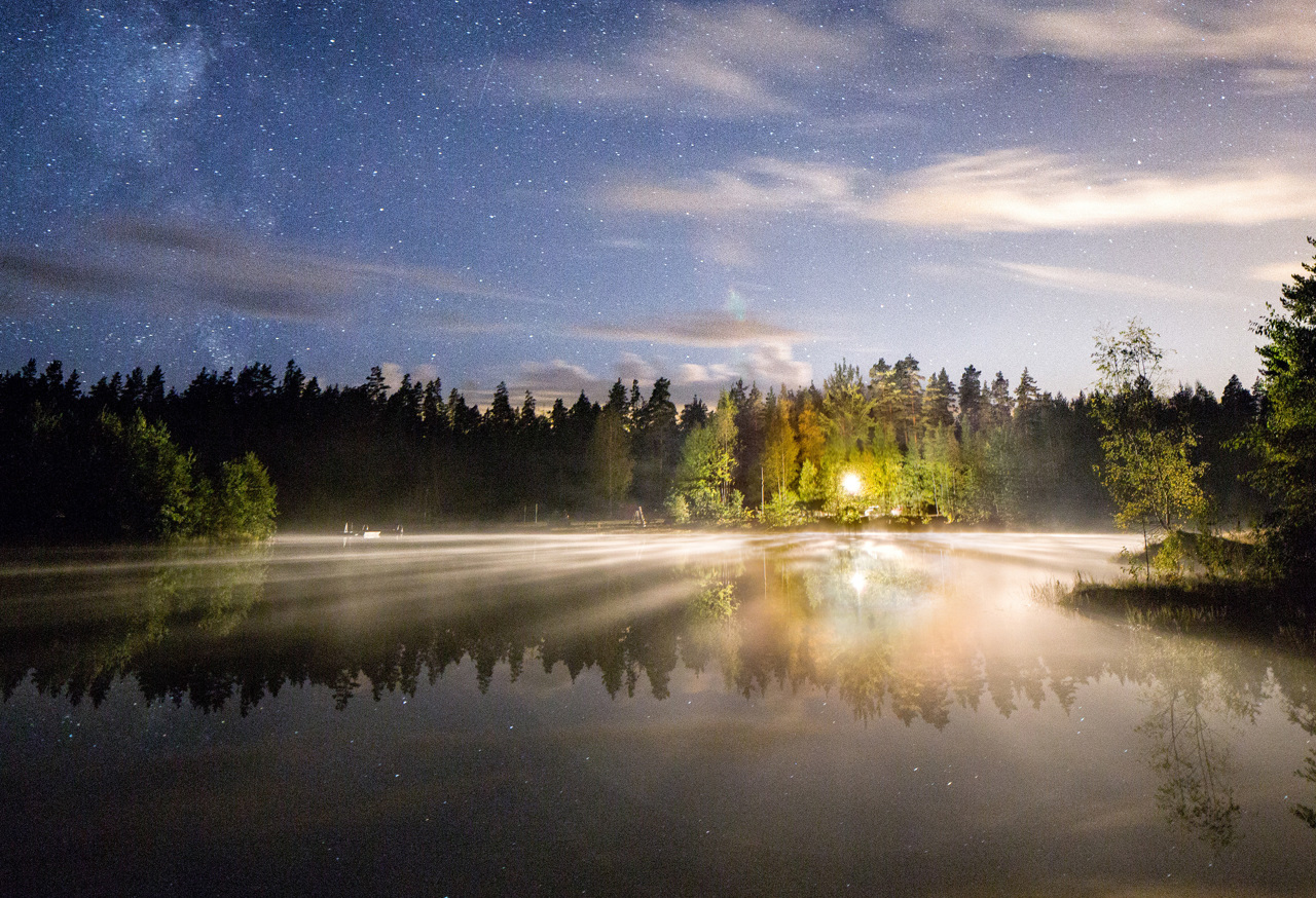 Misty forest